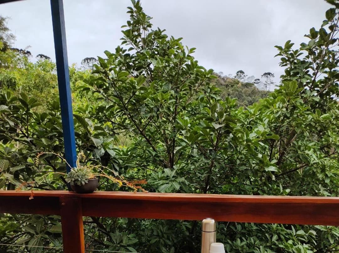 Chales Agua Azul Santo Antônio do Pinhal Exteriör bild